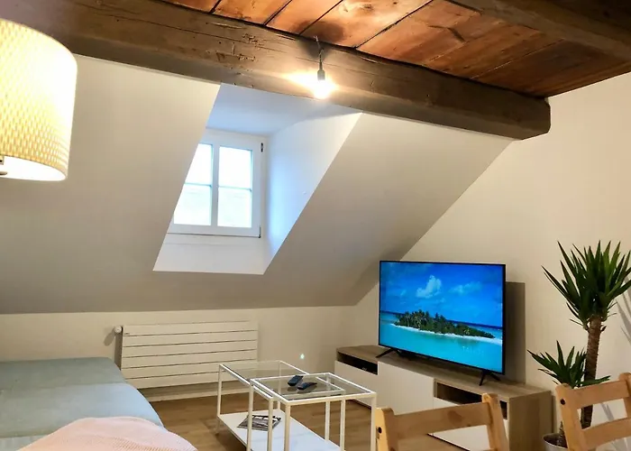 Old Town Lejlighed Bern